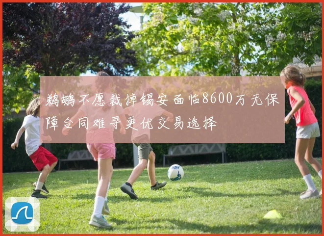 鹈鹕不愿裁掉锡安面临8600万无保障合同难寻更优交易选择