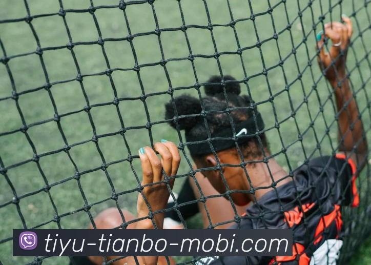 天博体育APP 高清赛事图